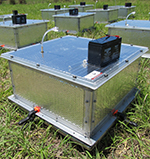 Manual N2O chambers at the Queensland dairy field site
